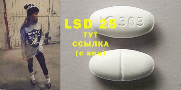 PSILOCYBIN Галич
