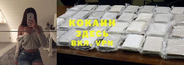 шишки Лагань