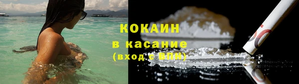 шишки Лагань
