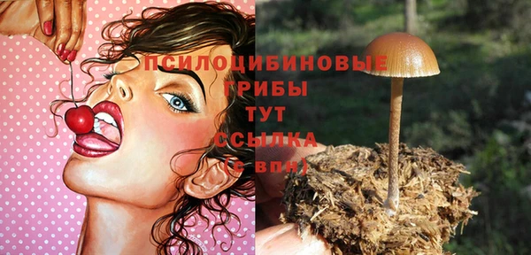 PSILOCYBIN Галич