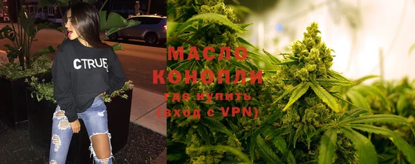 PSILOCYBIN Галич