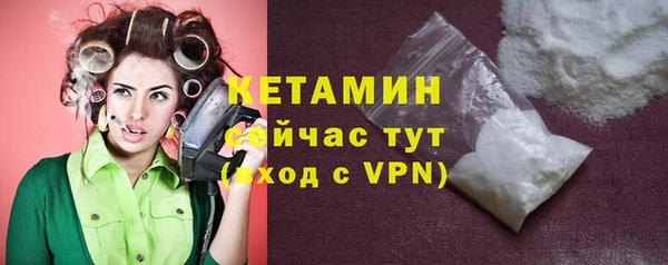 шишки Лагань